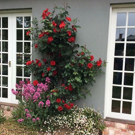 Hollyoak Bed & Breakfast Trentham Eksteriør bilde